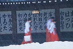 meiji-jingu-3-miko-blessings