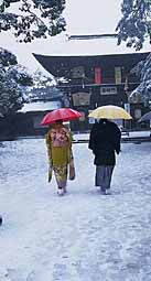 meiji-jingu-kimono-couple-1