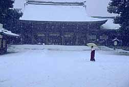 meiji-jingu-lonely-walk