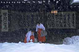 meiji-jingu-miko-playing-snowball