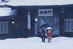 meiji-jingu-west-gates-back