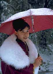meiji-jingu-winter-kimono-umbrella