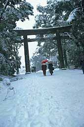 meiji-jingu-wooden-gates