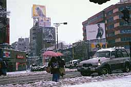 omotesando-snow-calvin-clein