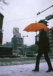 omotesando-umbrella-snow