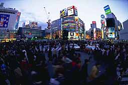 shibuya-new-year-dusk-2