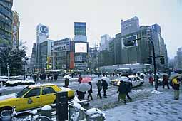shibuya-snow-1