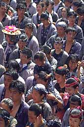 img0029.jpg