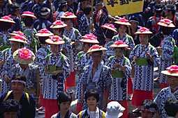 img0031.jpg