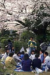 img0044.jpg