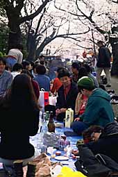 img0045.jpg