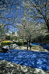 img0048.jpg