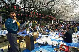 img0049.jpg