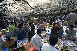 img0051.jpg
