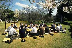 img0055.jpg