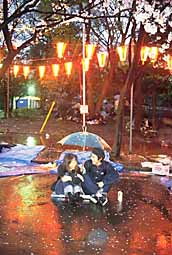 img0062.jpg