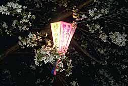 img0063.jpg