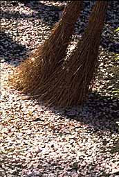 img0067.jpg