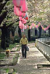 img0069.jpg