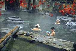 img0080.jpg