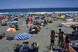 img0018.jpg