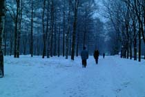 morning-ulyanova-2