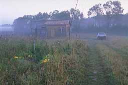 Foggy barn