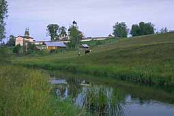 Landscape with cows