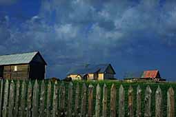 Wooden fence