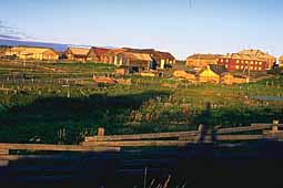 Cattle barns