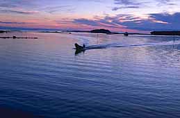 White Sea
