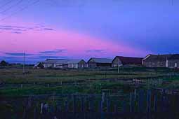 Sunset over barns