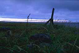 Seascape from cape Pechak