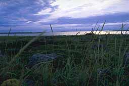Seascape from cape Pechak