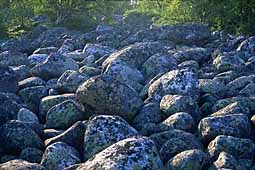 Glacier bowlders on cape Pechak