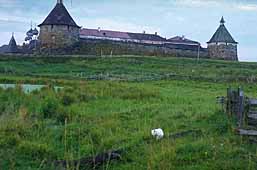 View of the Solovetskii Monastery