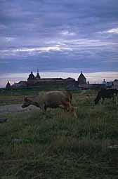 View of the monastery with cows